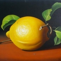 Lemon Still Life