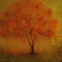 Orange Tree